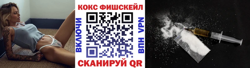 Cocaine FishScale  Норильск 