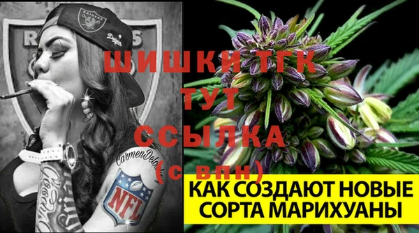 винт Козловка