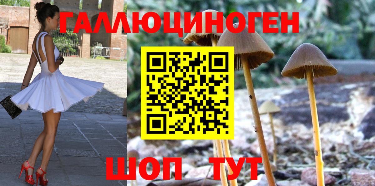Псилоцибиновые грибы мухоморы Норильск