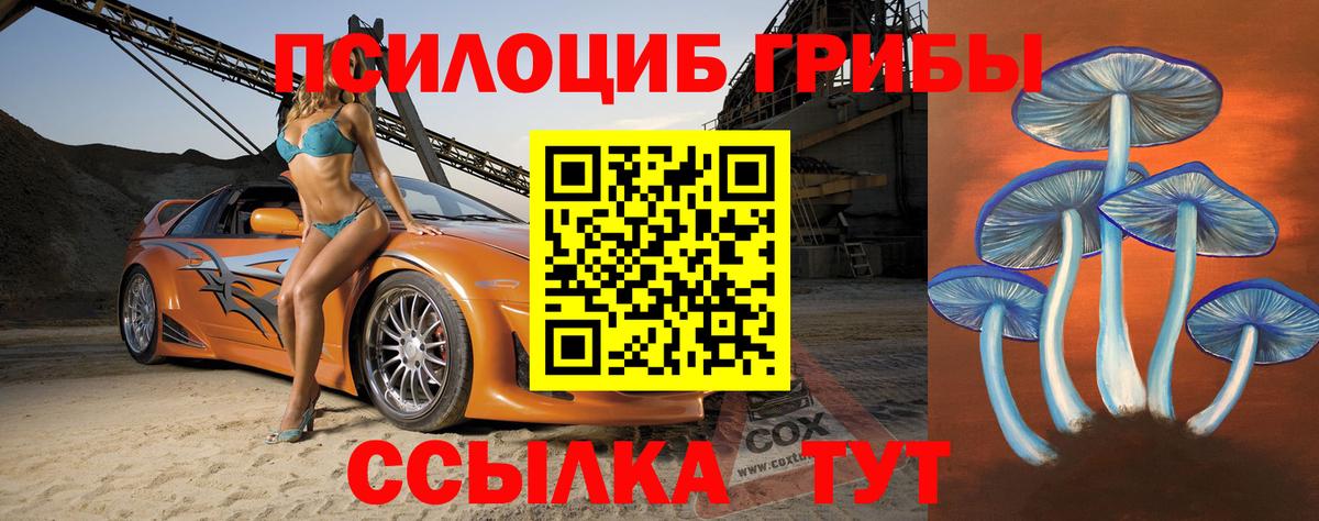Галлюциногенные грибы прущие грибы  Галлюциногенные грибы Cubensis  купить закладку  Норильск  Вход с VPN 